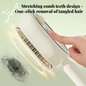 Brosse Électrique Anti-Frisottis et Massage Capillaire